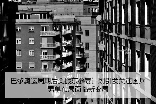 巴黎奥运周期后樊振东参赛计划引发关注国乒男单布局面临新变局