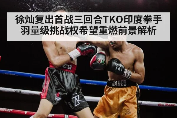 boxer TKO knockout punch